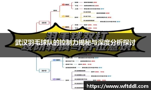 武汉羽毛球队的控制力揭秘与深度分析探讨